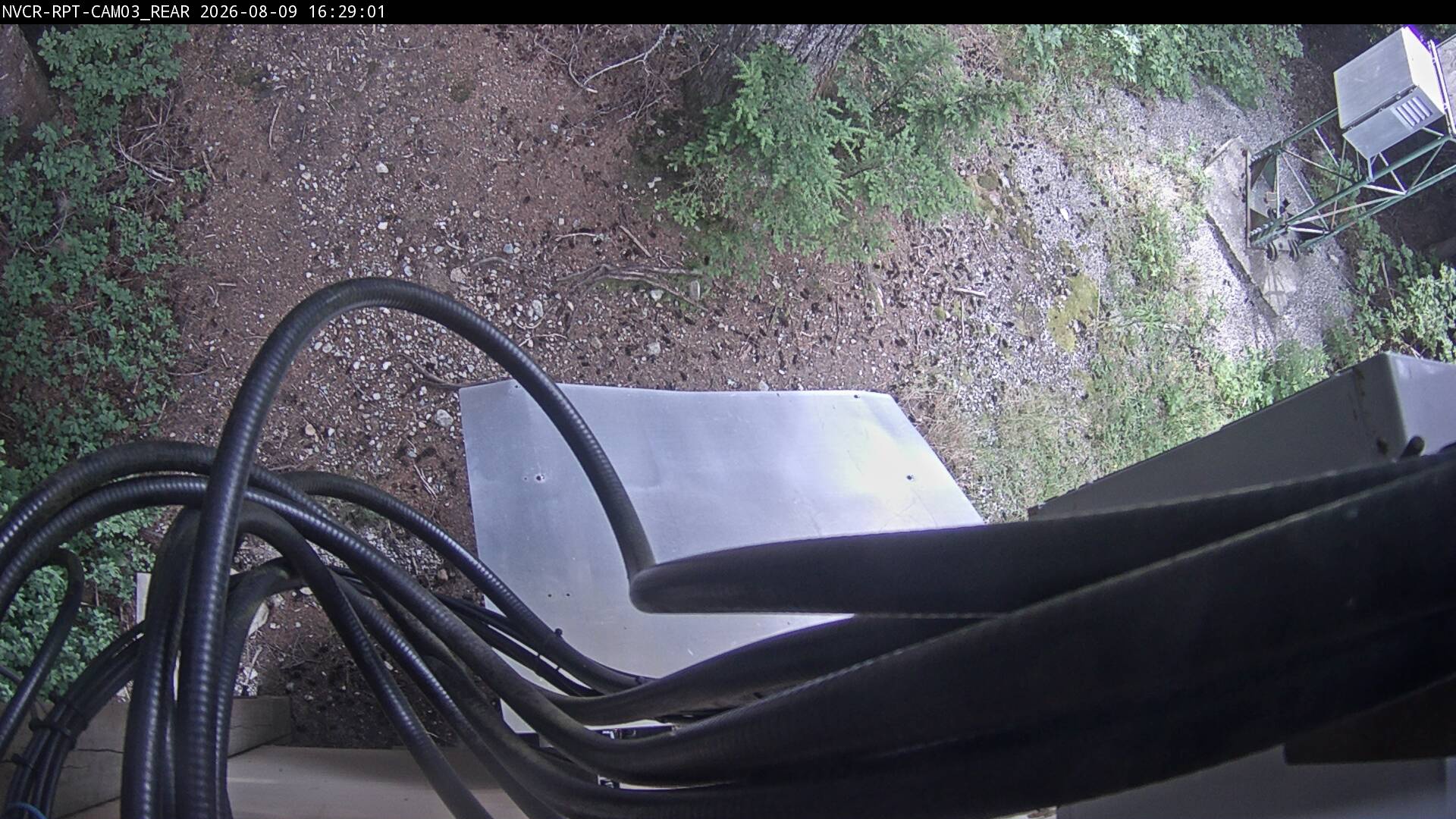 Web Cam History Image - 651