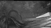 Web Cam Image - Tue, 05/05/2026 3:59am PDT
