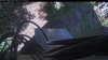 Web Cam Image - Fri, 07/31/2026 8:44am PDT