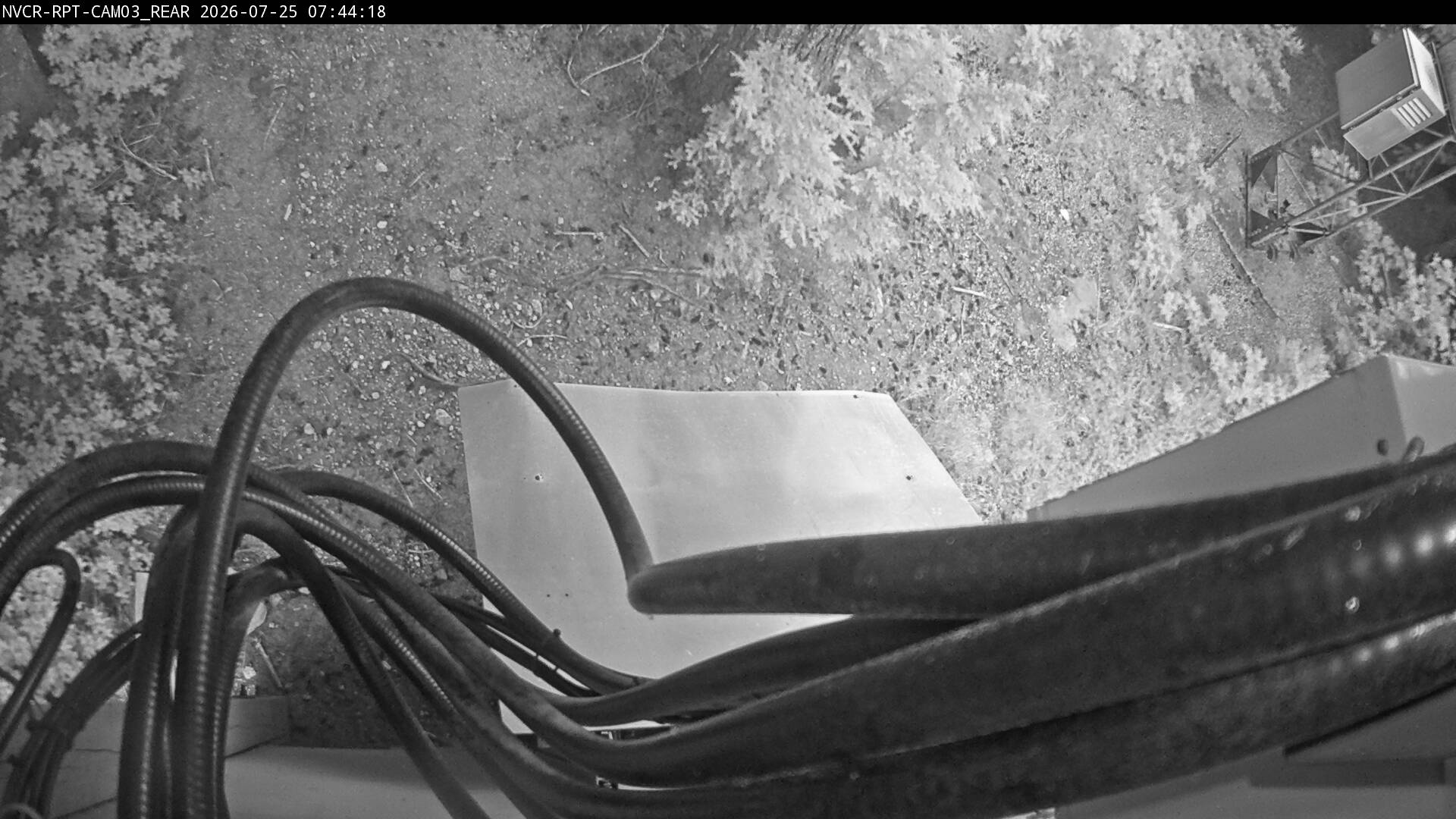 Web Cam History Image - 652