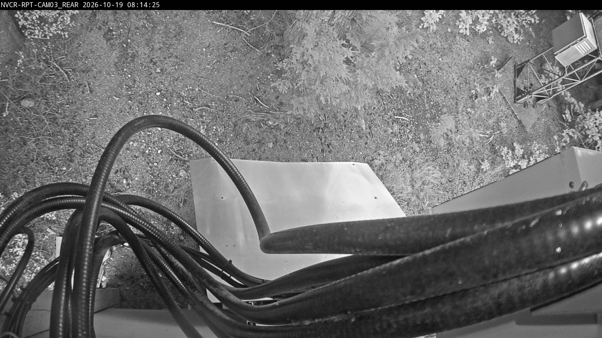 Web Cam History Image - 652