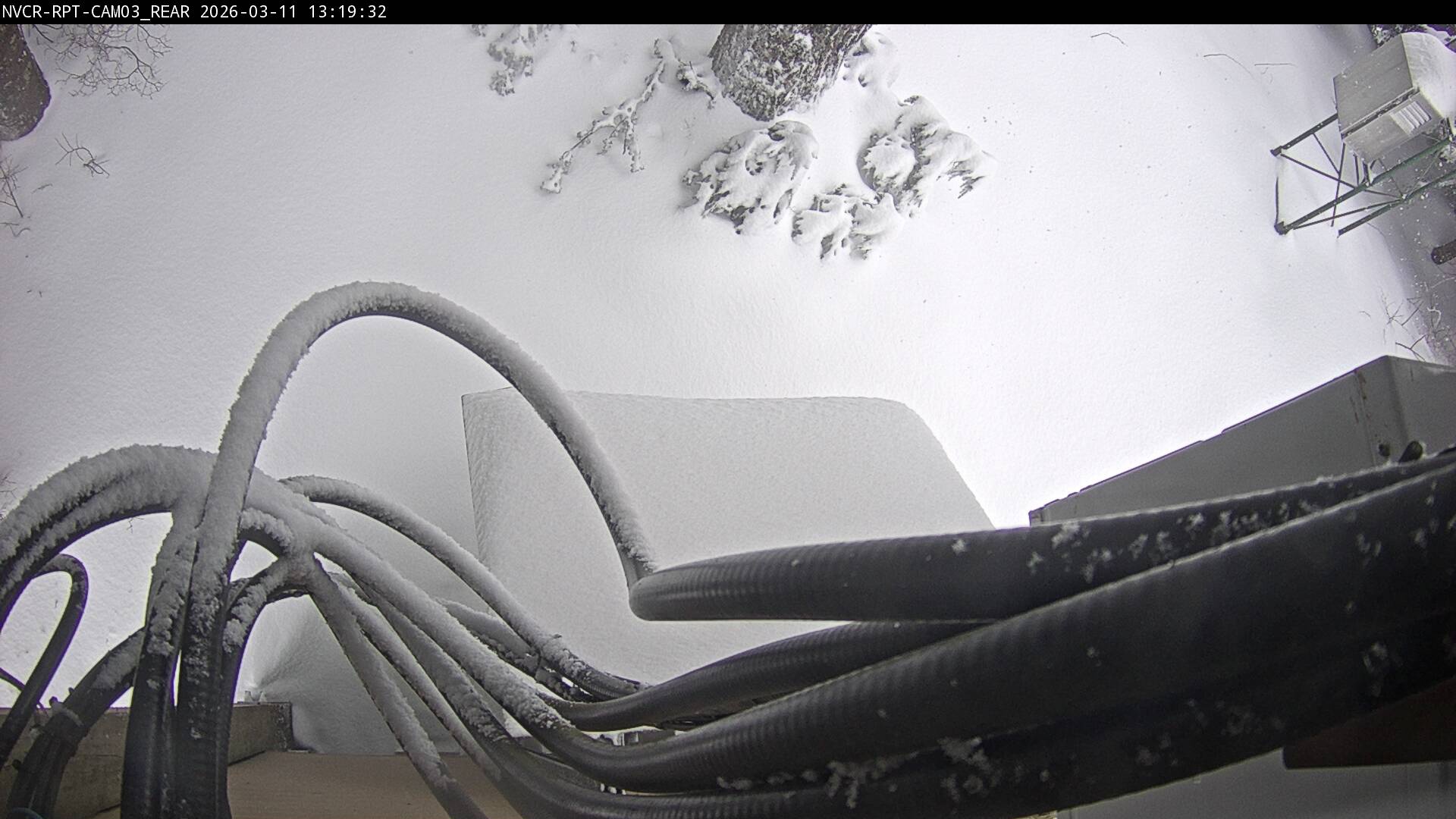 Web Cam History Image - 653