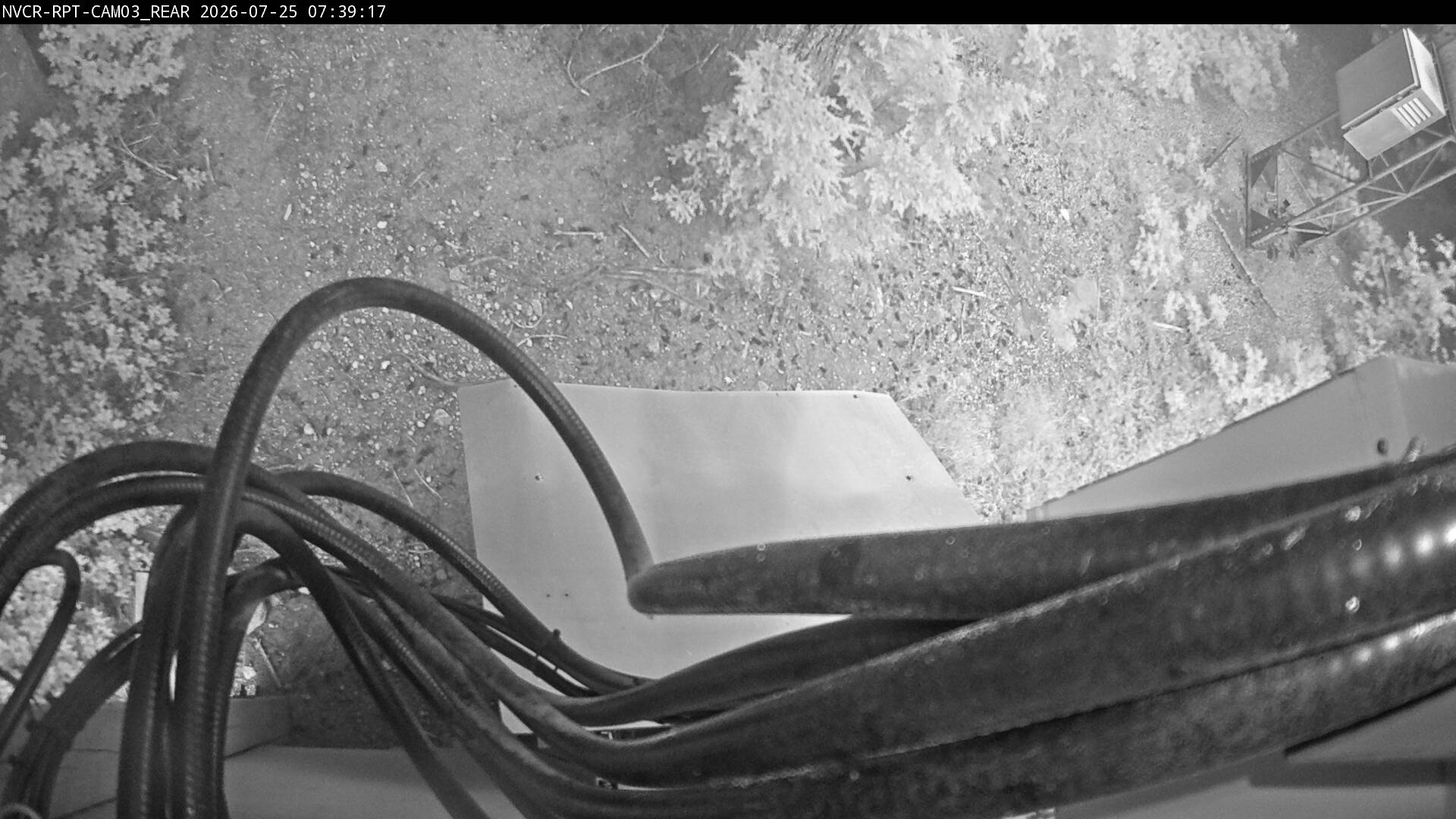 Web Cam History Image - 653