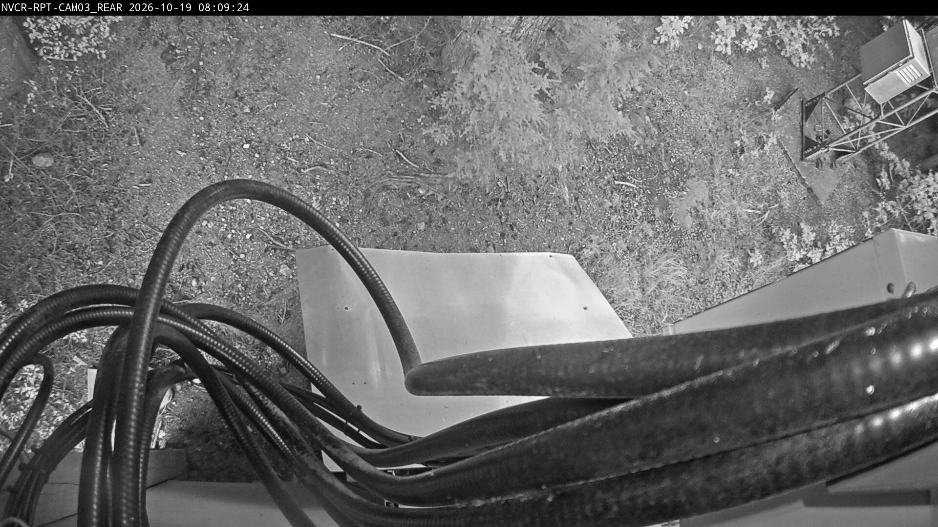 Web Cam History Image - 653