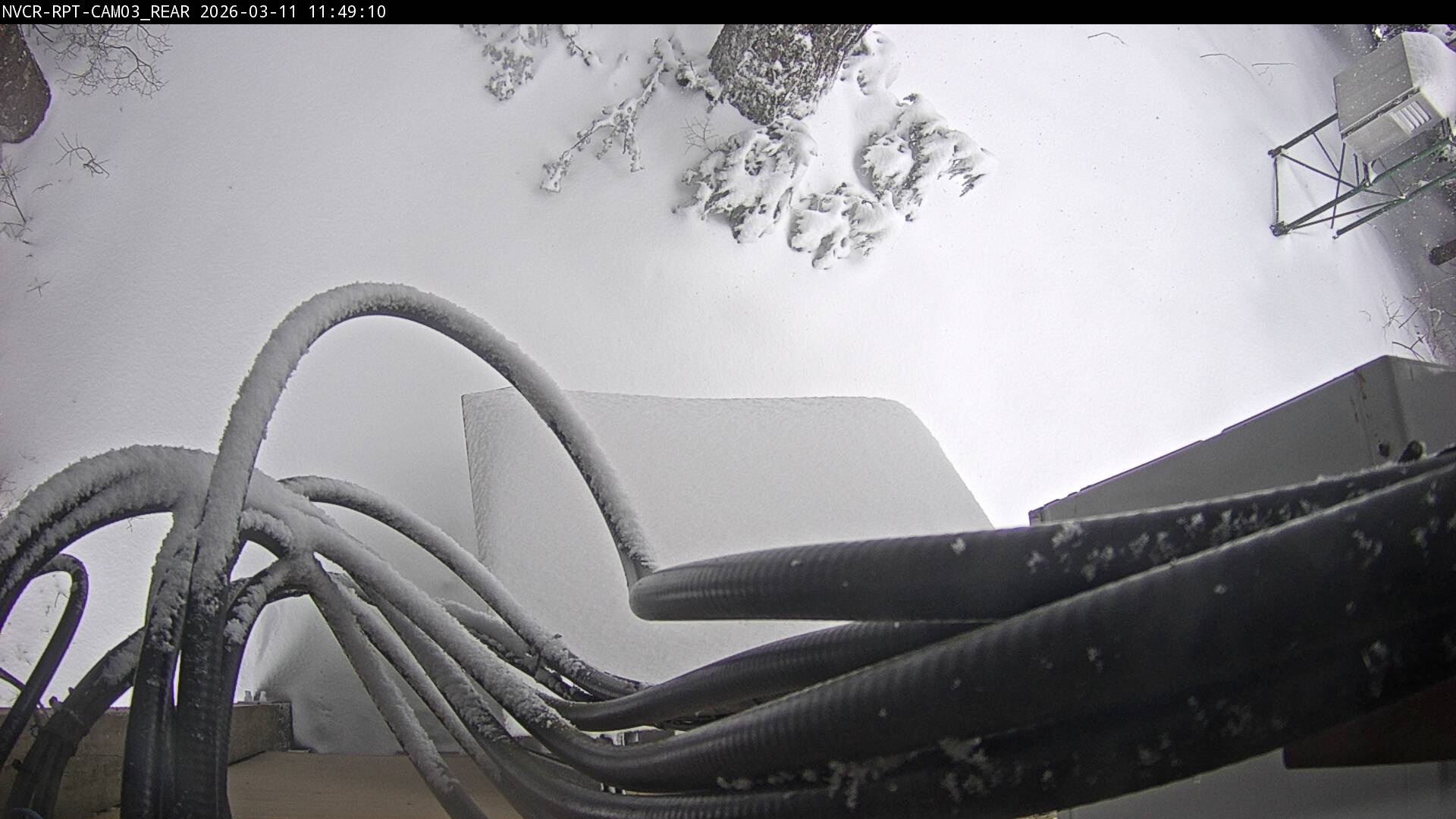 Web Cam History Image - 654