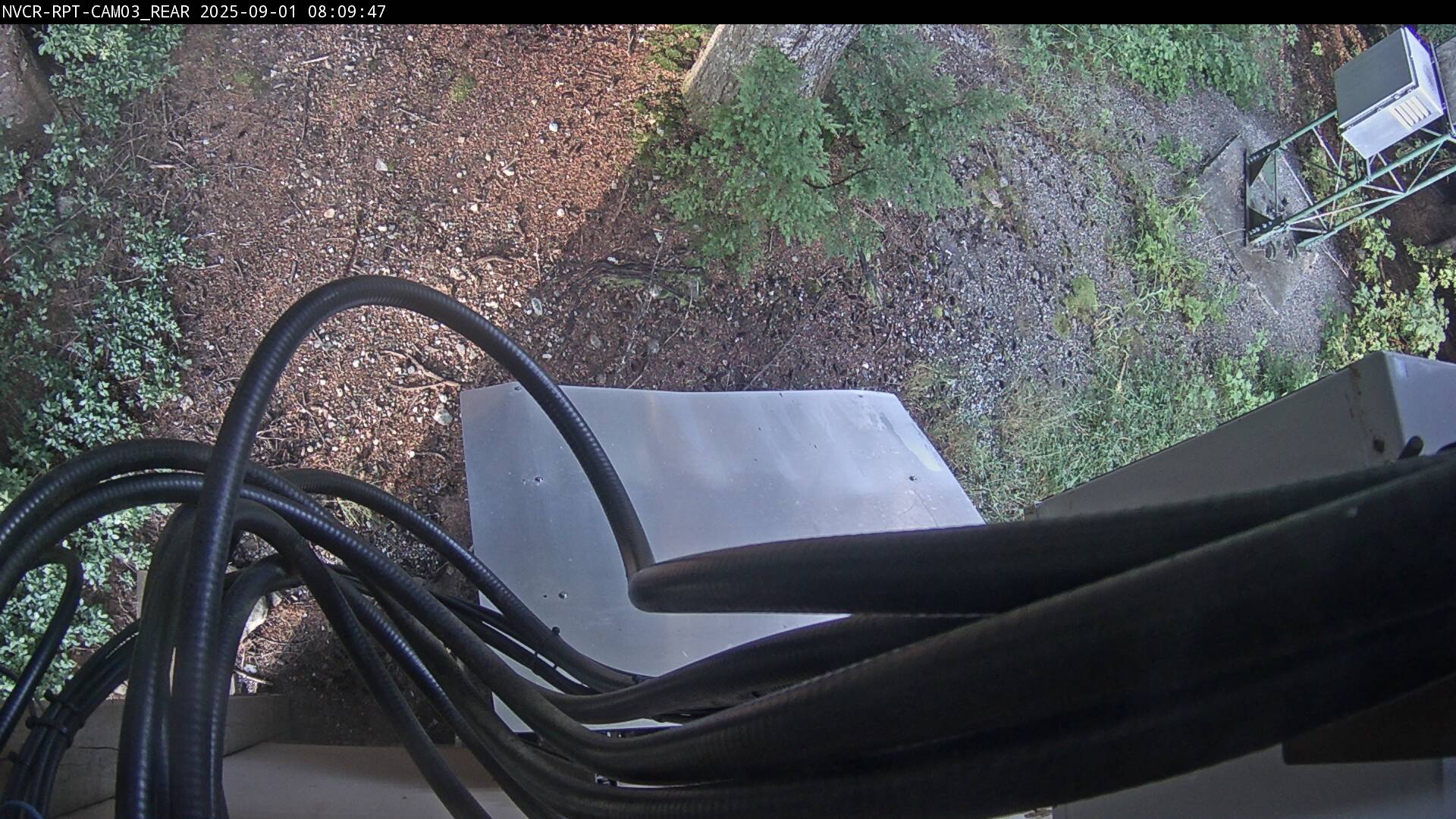 Web Cam History Image - 655
