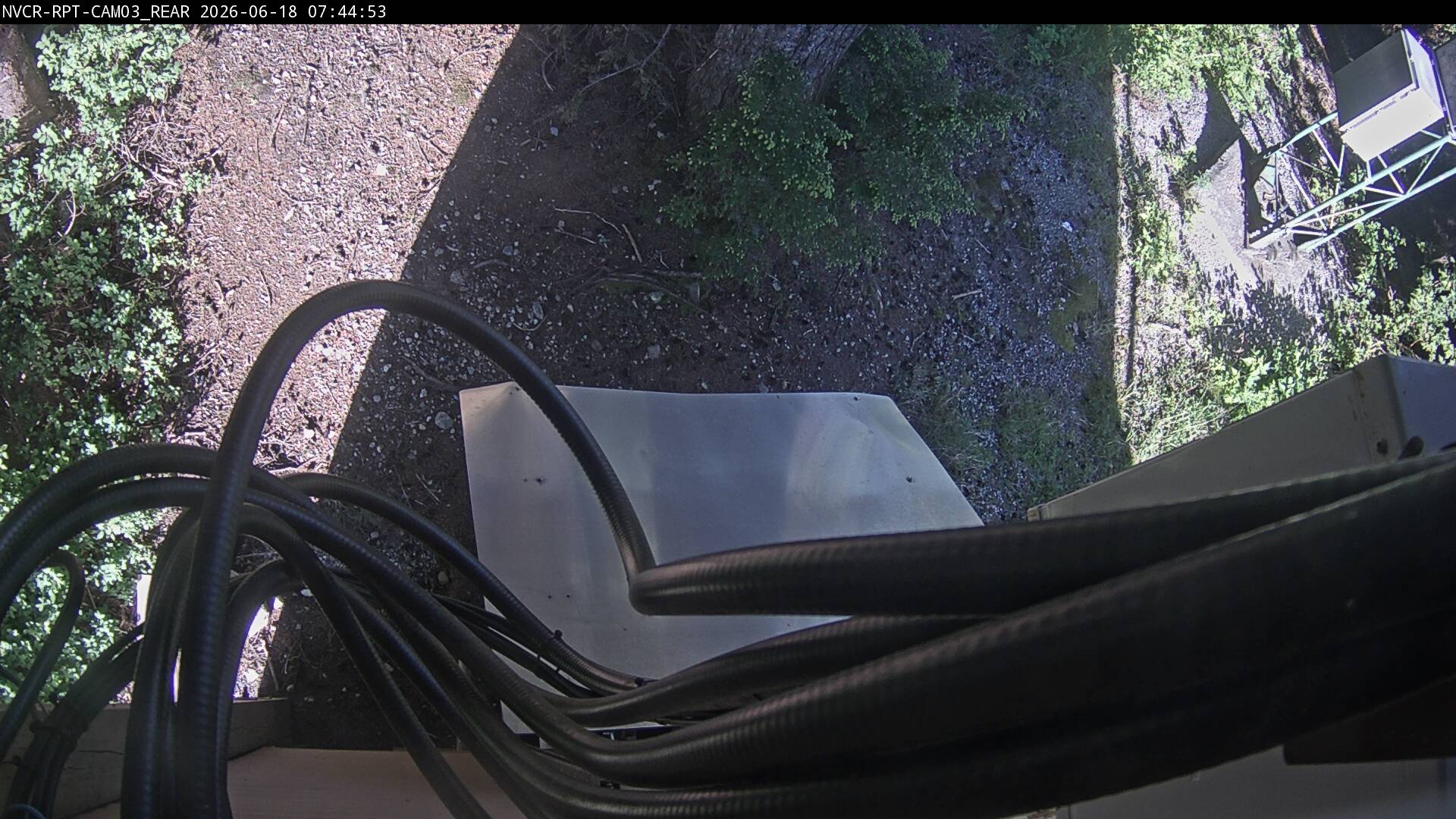 Web Cam History Image - 655