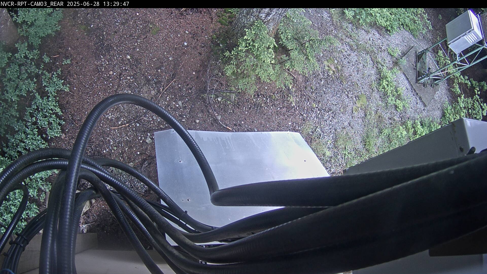 Web Cam History Image - 656