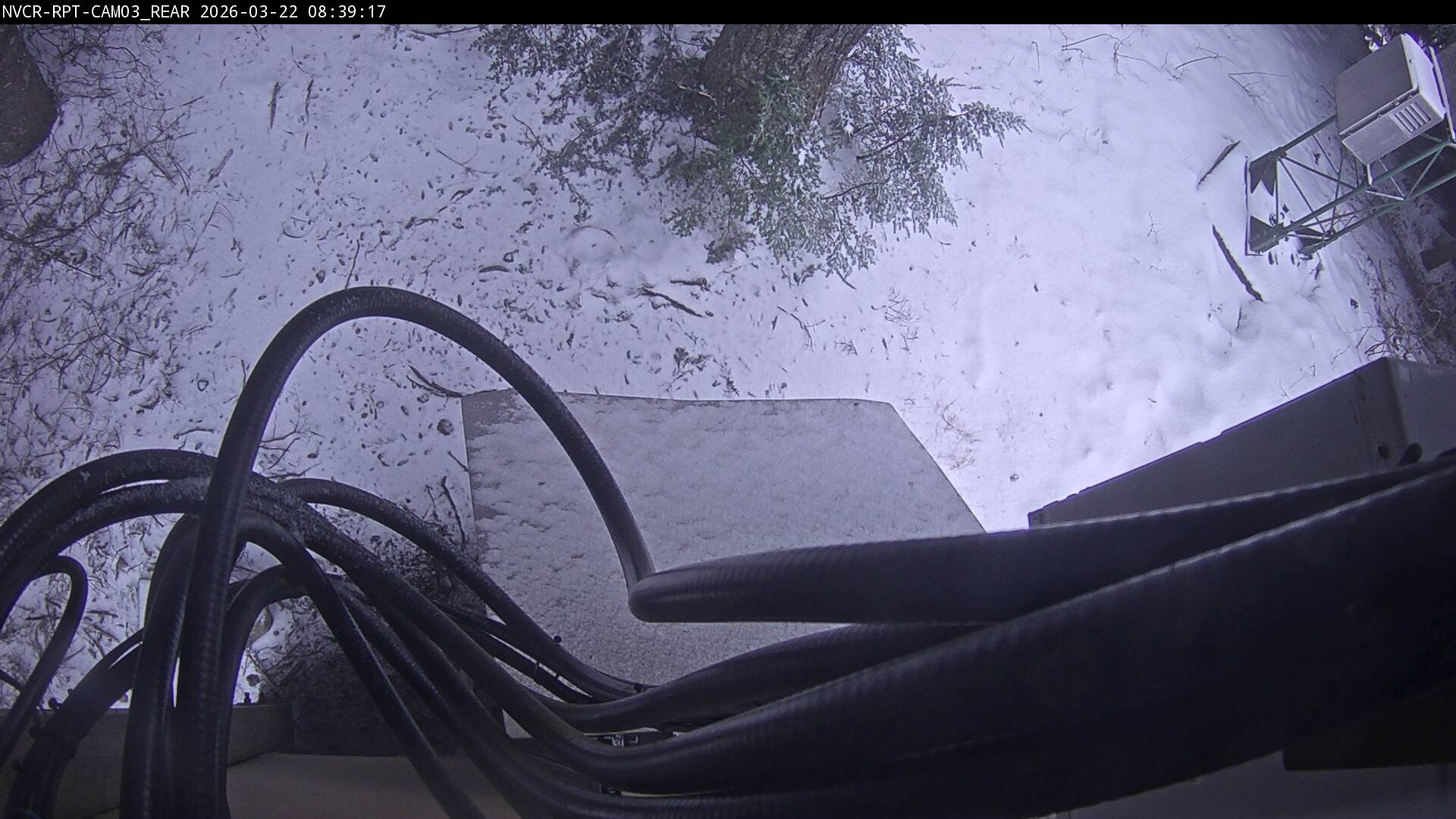 Web Cam History Image - 656