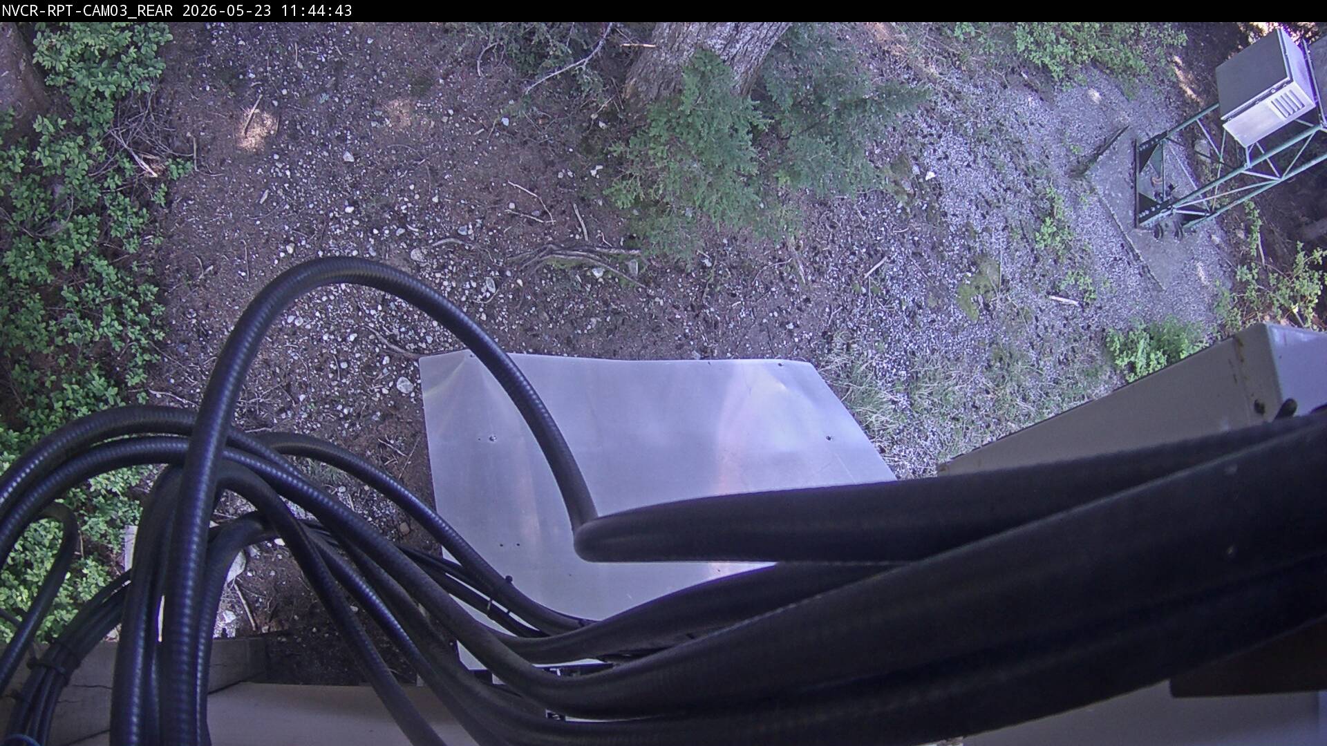 Web Cam History Image - 656