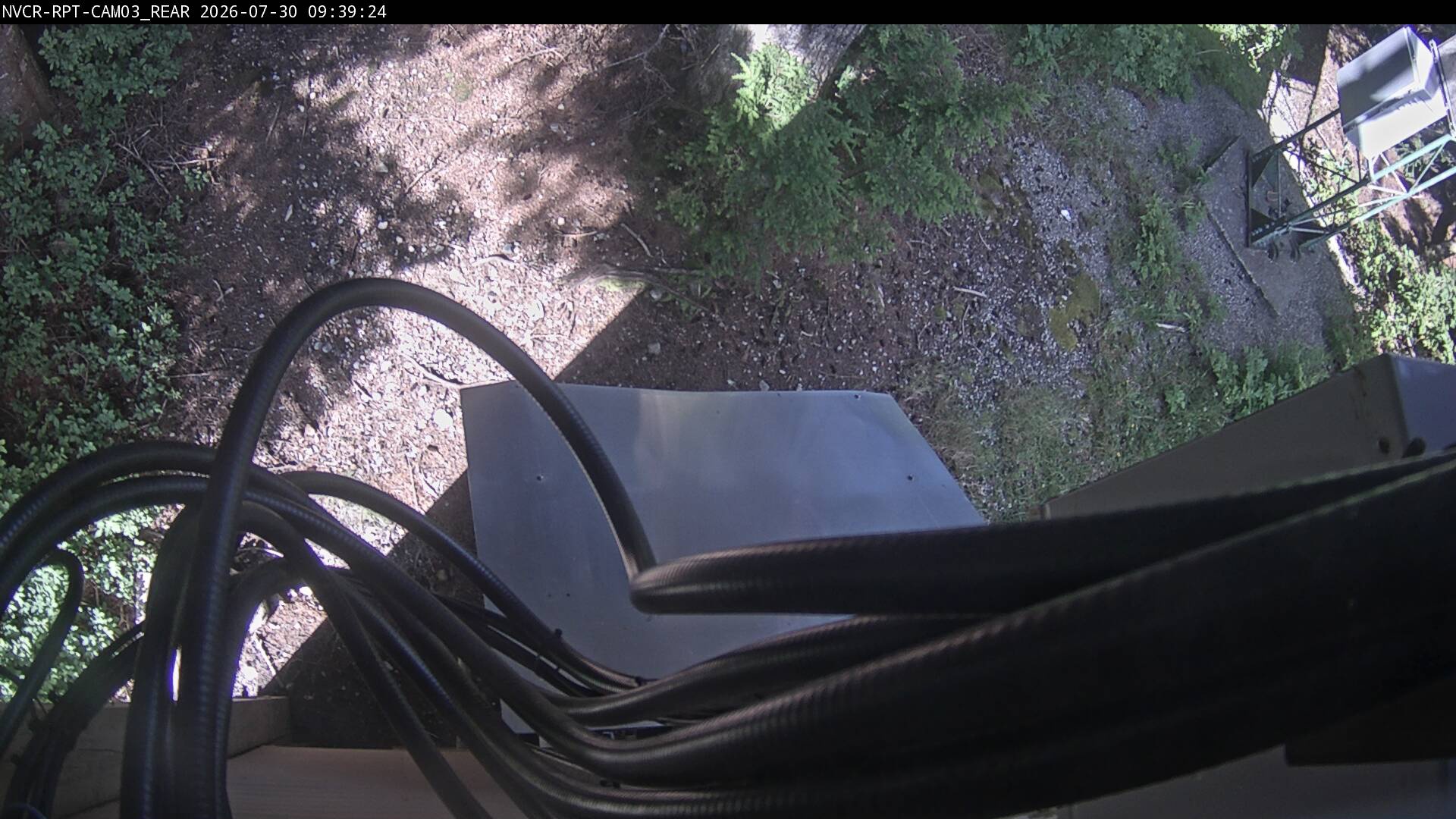 Web Cam History Image - 657