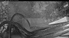 Web Cam Image - Thu, 05/21/2026 4:14am PDT