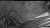 Web Cam Image - Wed, 06/03/2026 7:54pm PDT