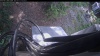 Web Cam Image - Sun, 07/12/2026 1:34pm PDT