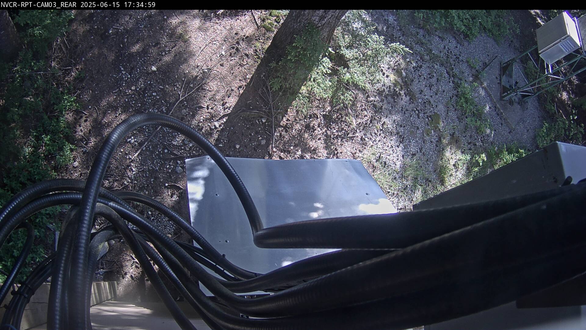 Web Cam History Image - 67