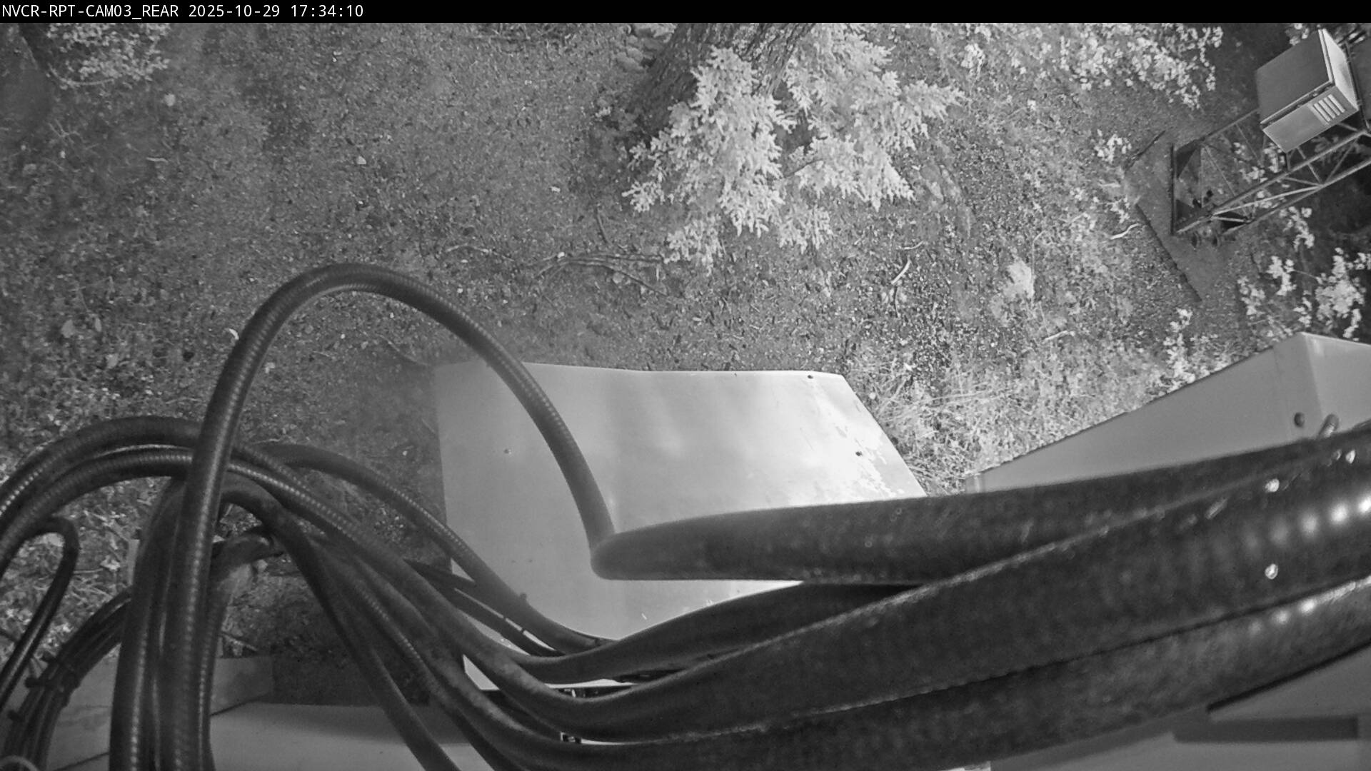 Web Cam History Image - 67