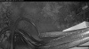 Web Cam Image - Thu, 05/21/2026 3:59am PDT