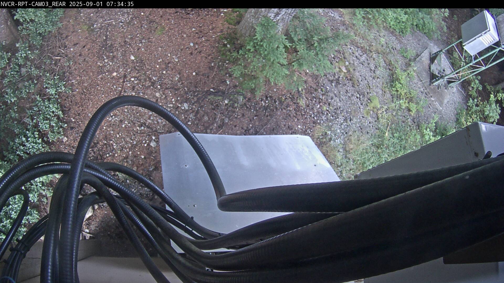 Web Cam History Image - 661