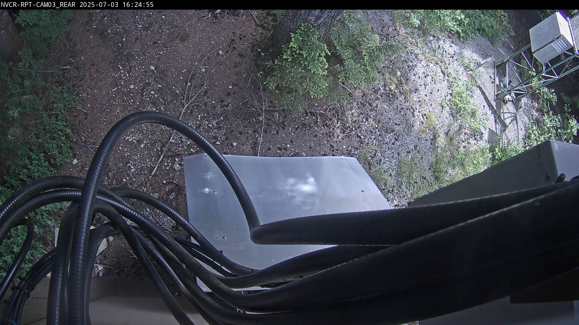 Web Cam History Image - 662