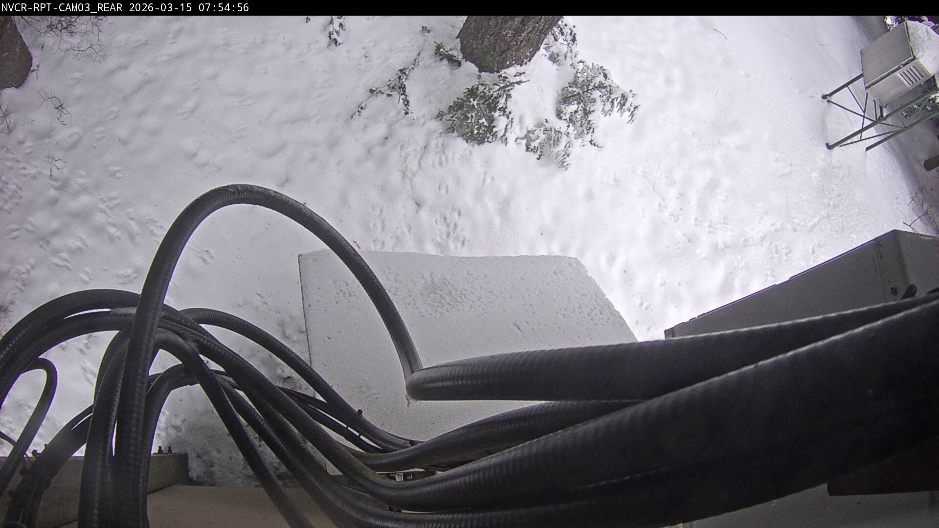 Web Cam History Image - 662