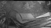 Web Cam Image - Sat, 05/16/2026 4:49am PDT