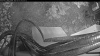 Web Cam Image - Sat, 05/16/2026 4:44am PDT
