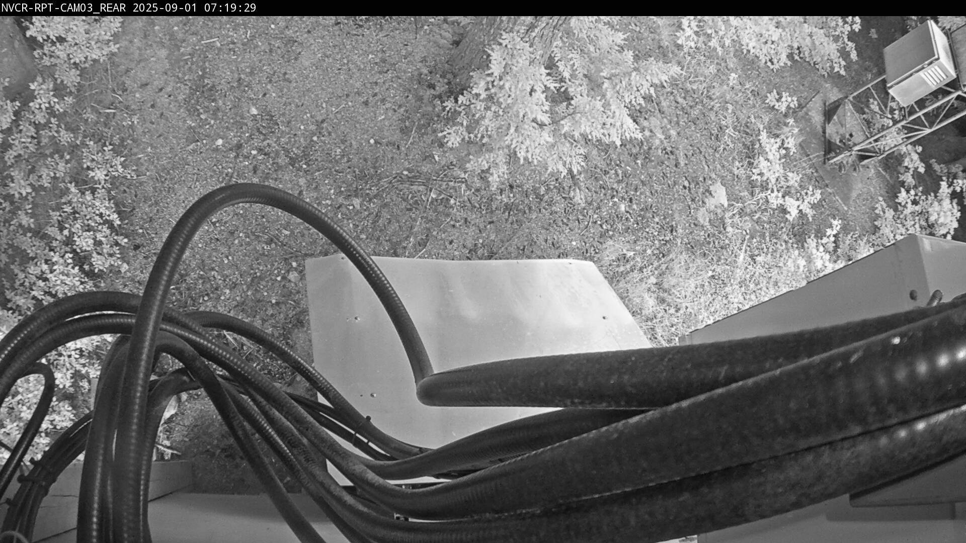 Web Cam History Image - 664