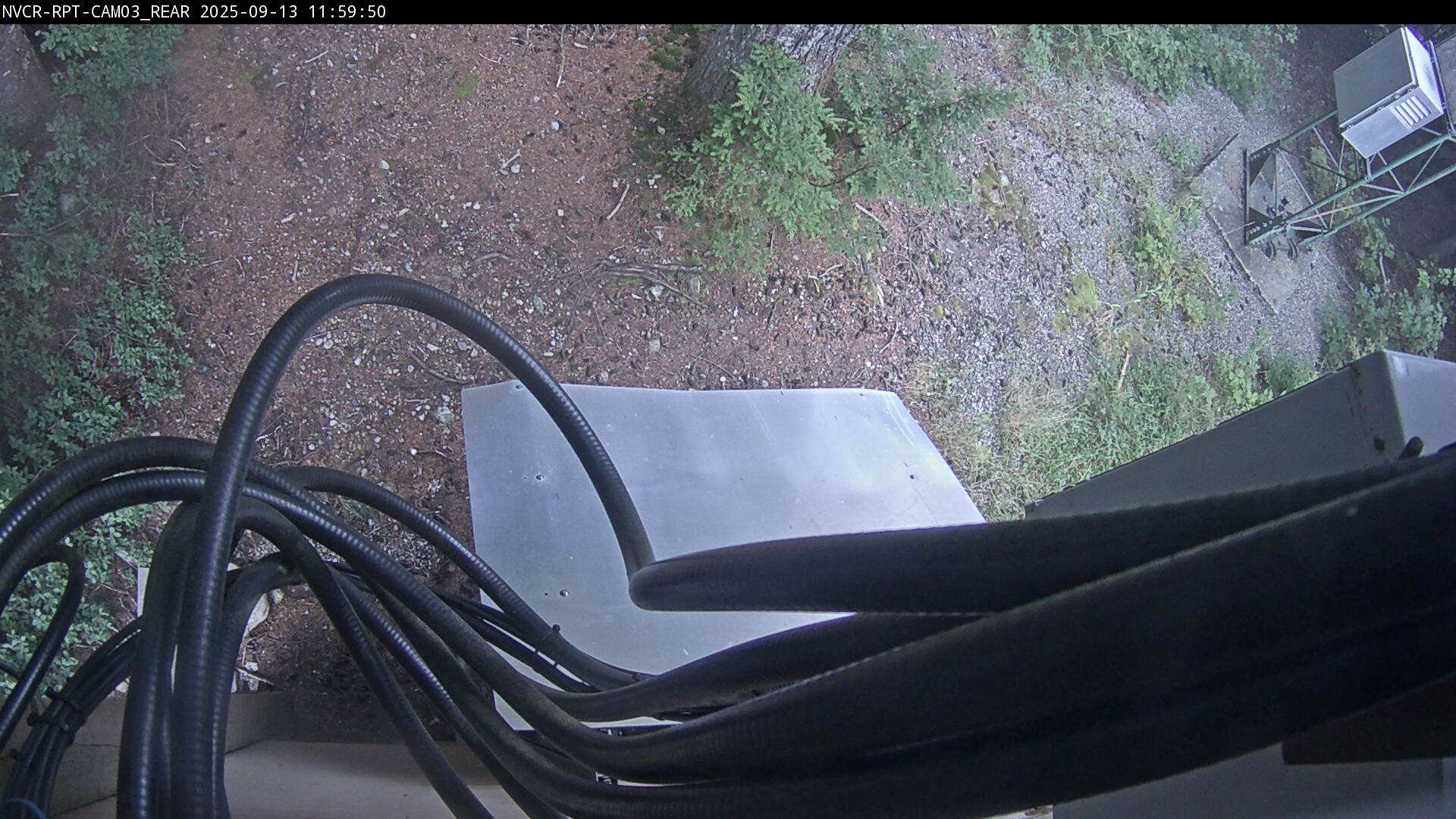 Web Cam History Image - 664