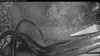 Web Cam Image - Tue, 05/19/2026 4:29am PDT