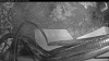 Web Cam Image - Sat, 05/16/2026 4:29am PDT