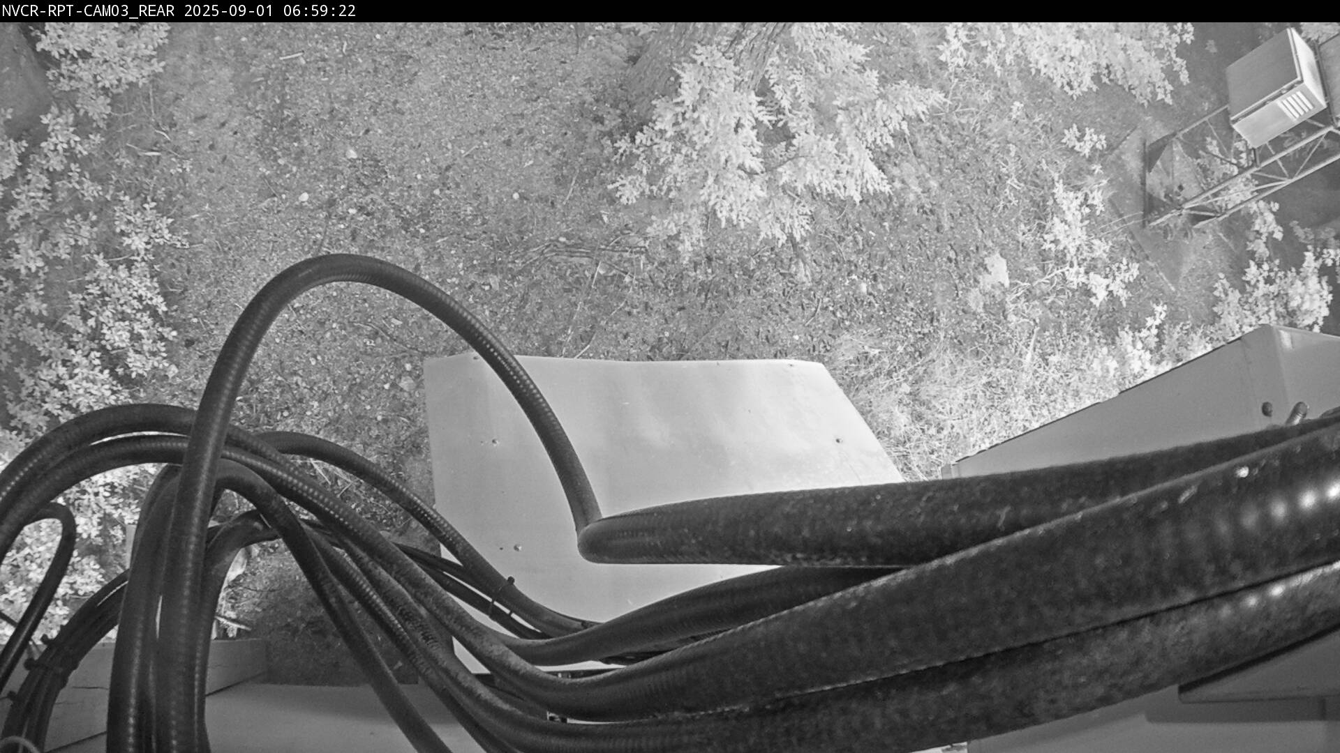 Web Cam History Image - 667
