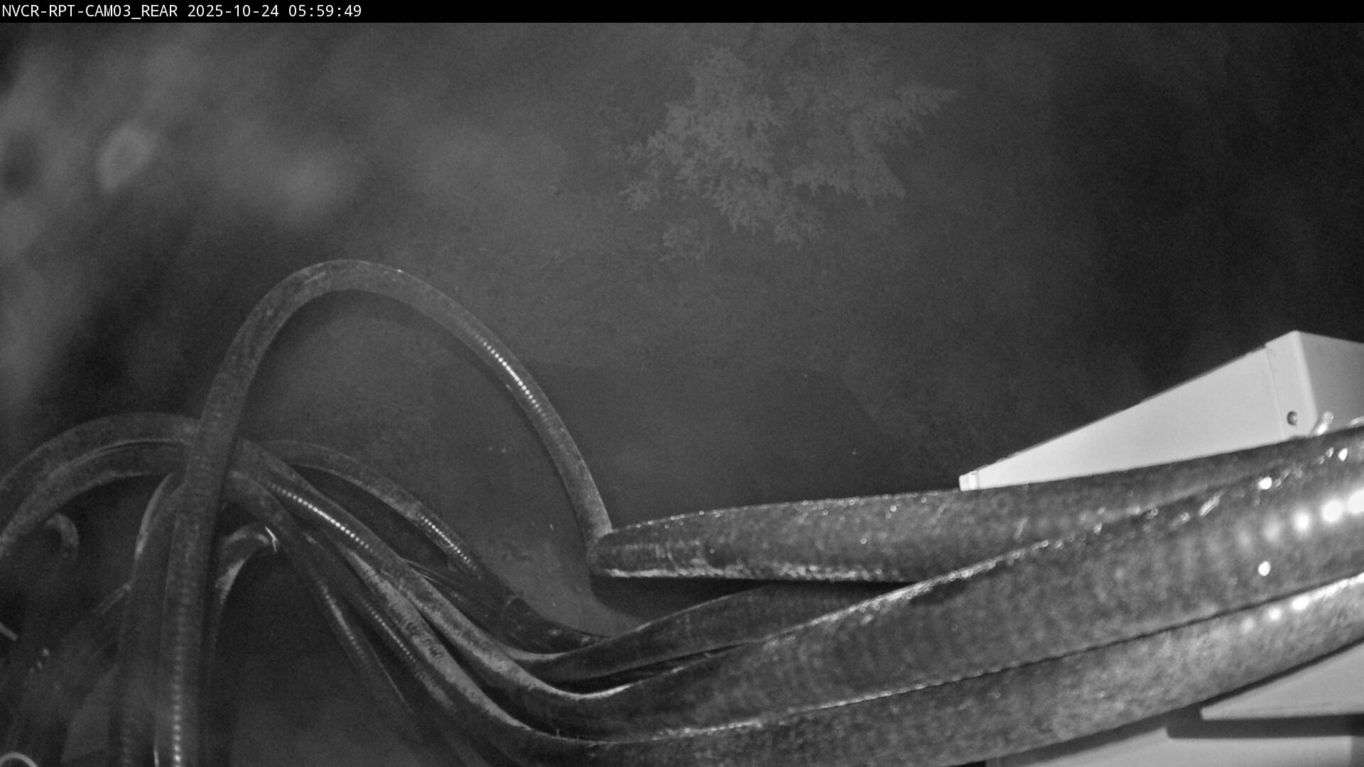 Web Cam History Image - 669