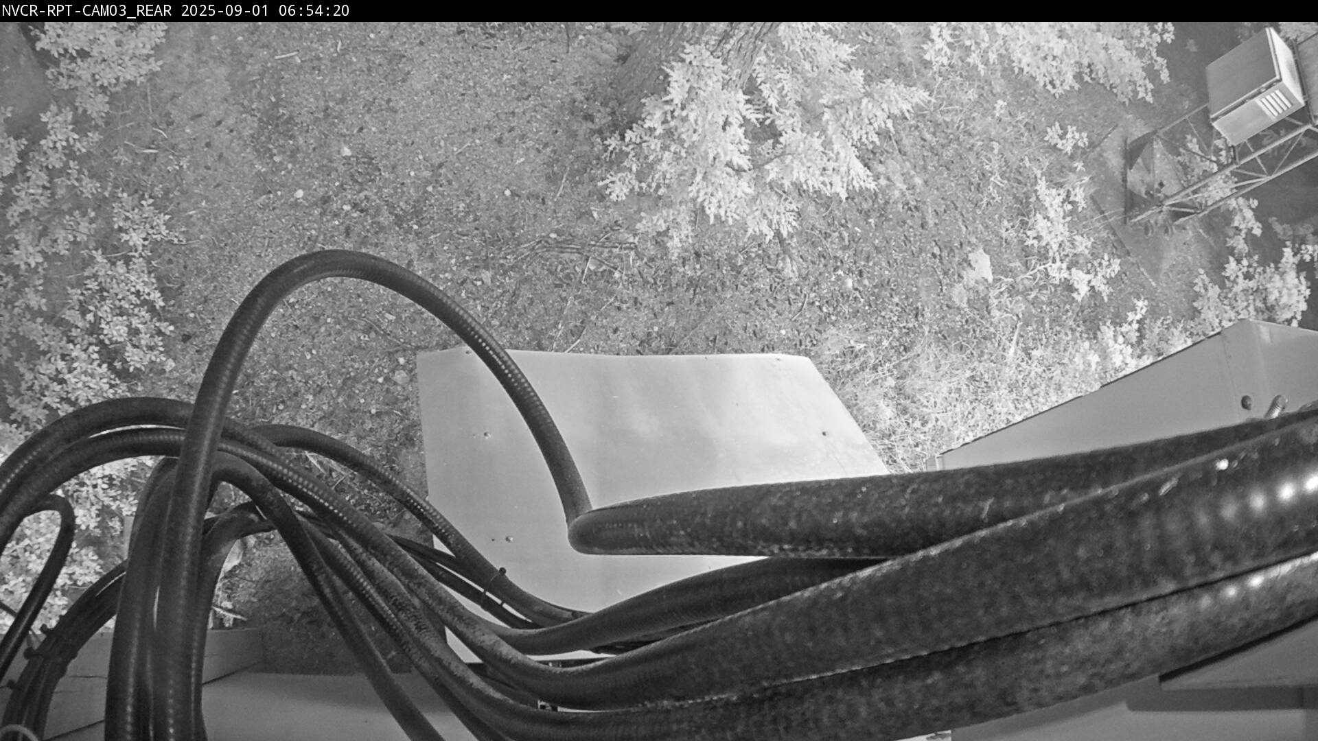 Web Cam History Image - 670