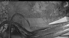 Web Cam Image - Sat, 05/30/2026 4:19am PDT