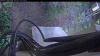 Web Cam Image - Fri, 06/12/2026 4:09am PDT