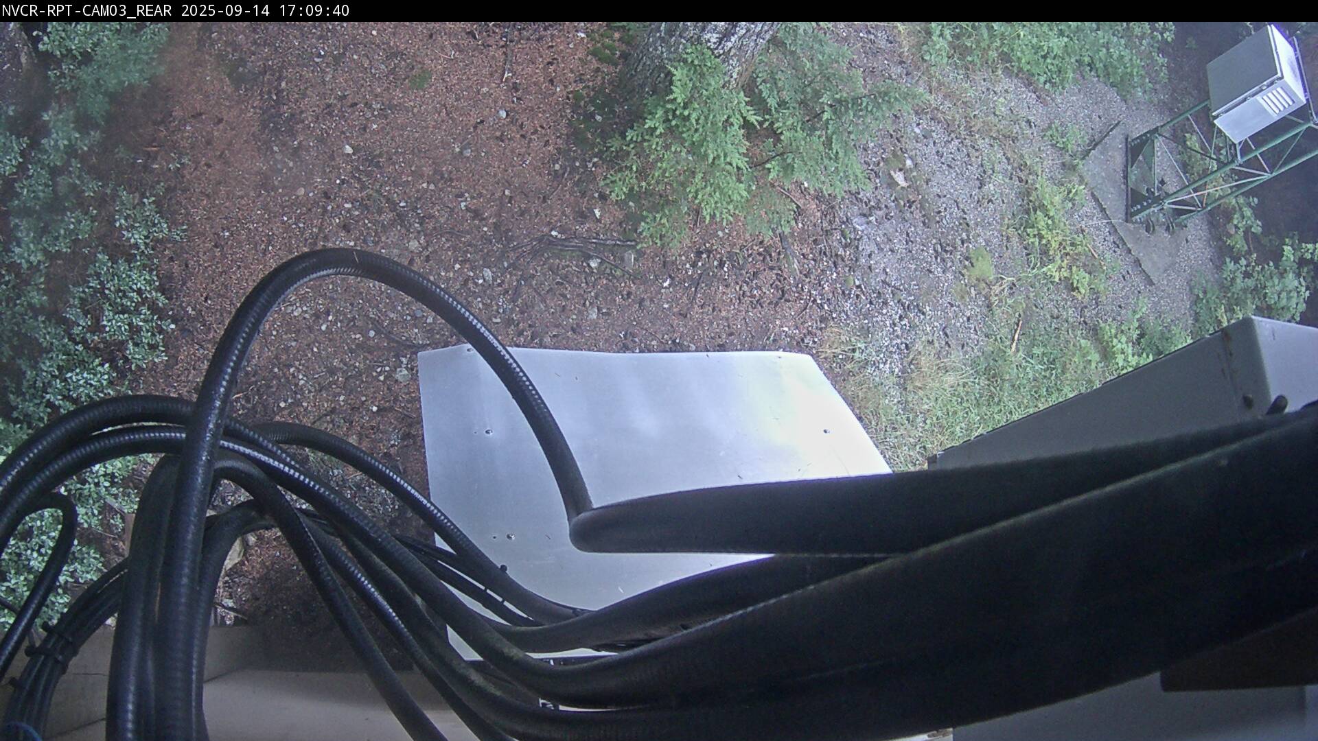 Web Cam History Image - 68