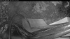 Web Cam Image - Sat, 05/16/2026 4:09am PDT