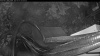 Web Cam Image - Sat, 05/16/2026 3:59am PDT