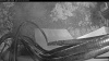 Web Cam Image - Tue, 07/28/2026 5:04am PDT