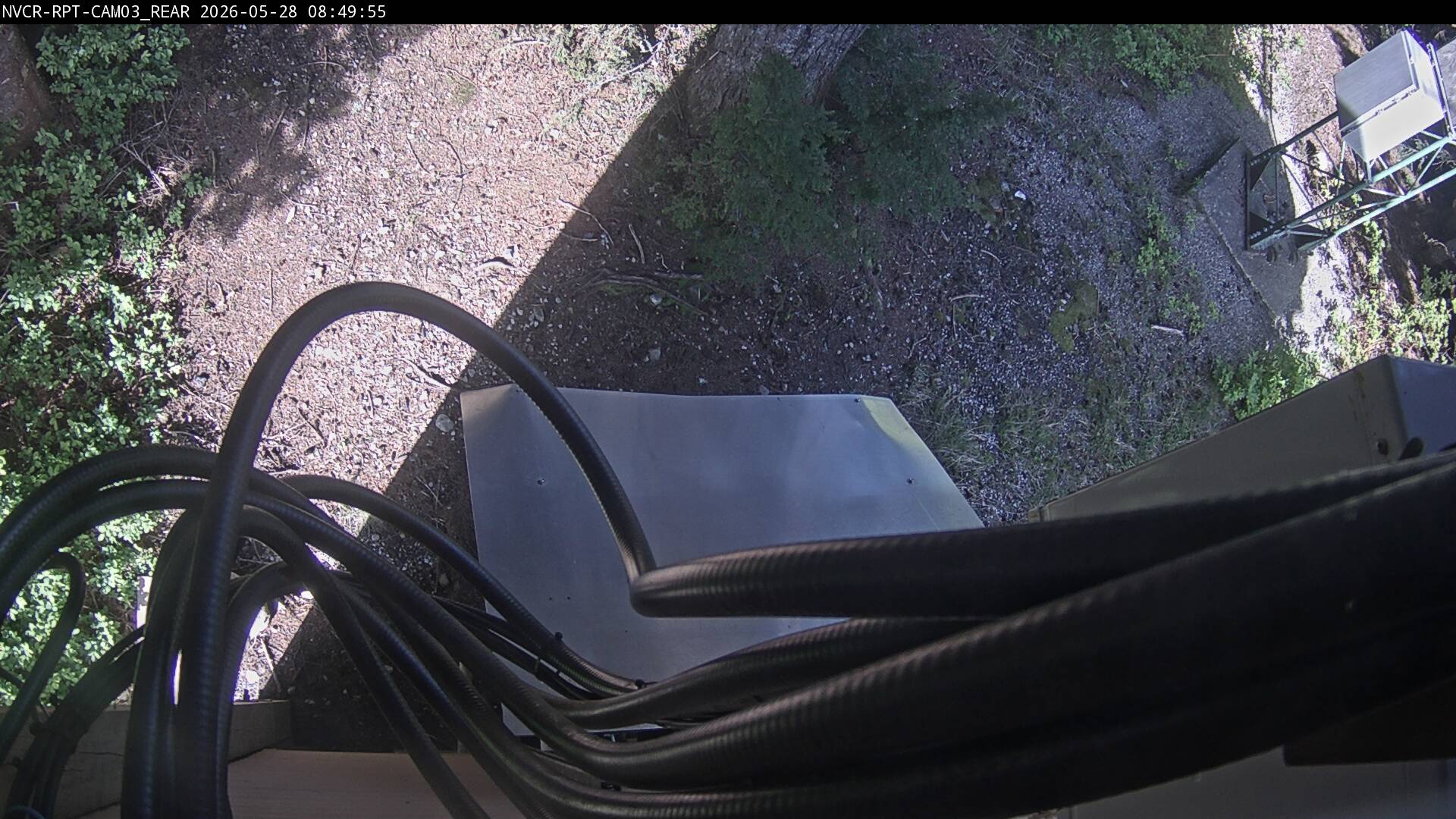 Web Cam History Image - 675