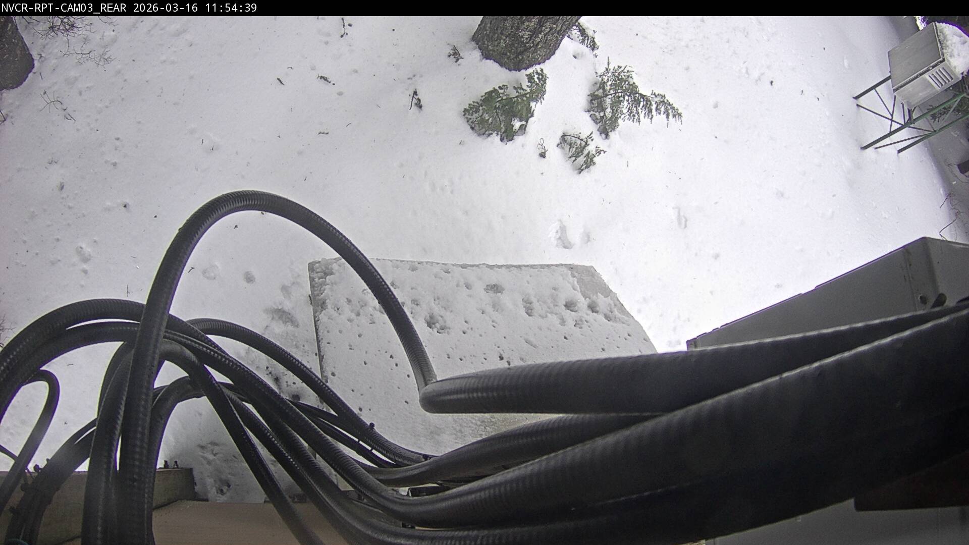 Web Cam History Image - 676