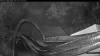 Web Cam Image - Mon, 07/27/2026 4:34am PDT