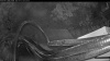 Web Cam Image - Mon, 07/27/2026 4:29am PDT