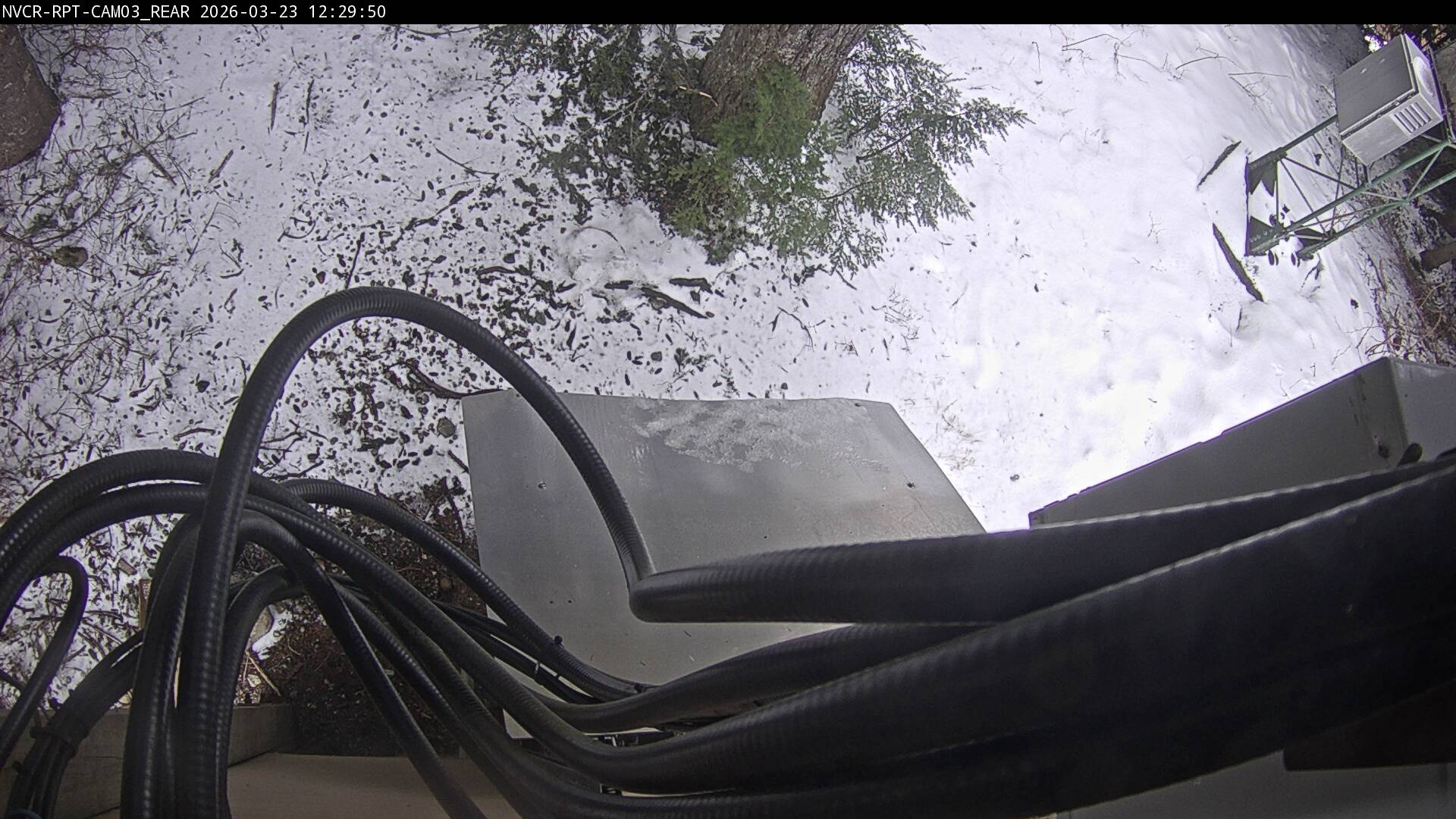 Web Cam History Image - 684