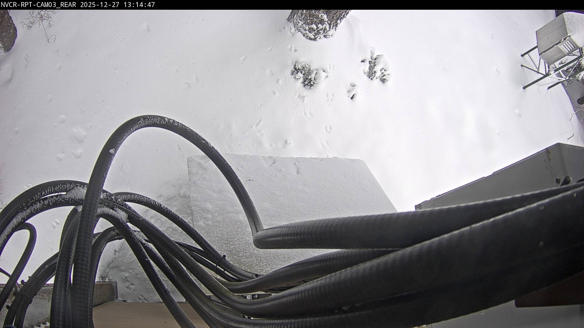 Web Cam History Image - 686