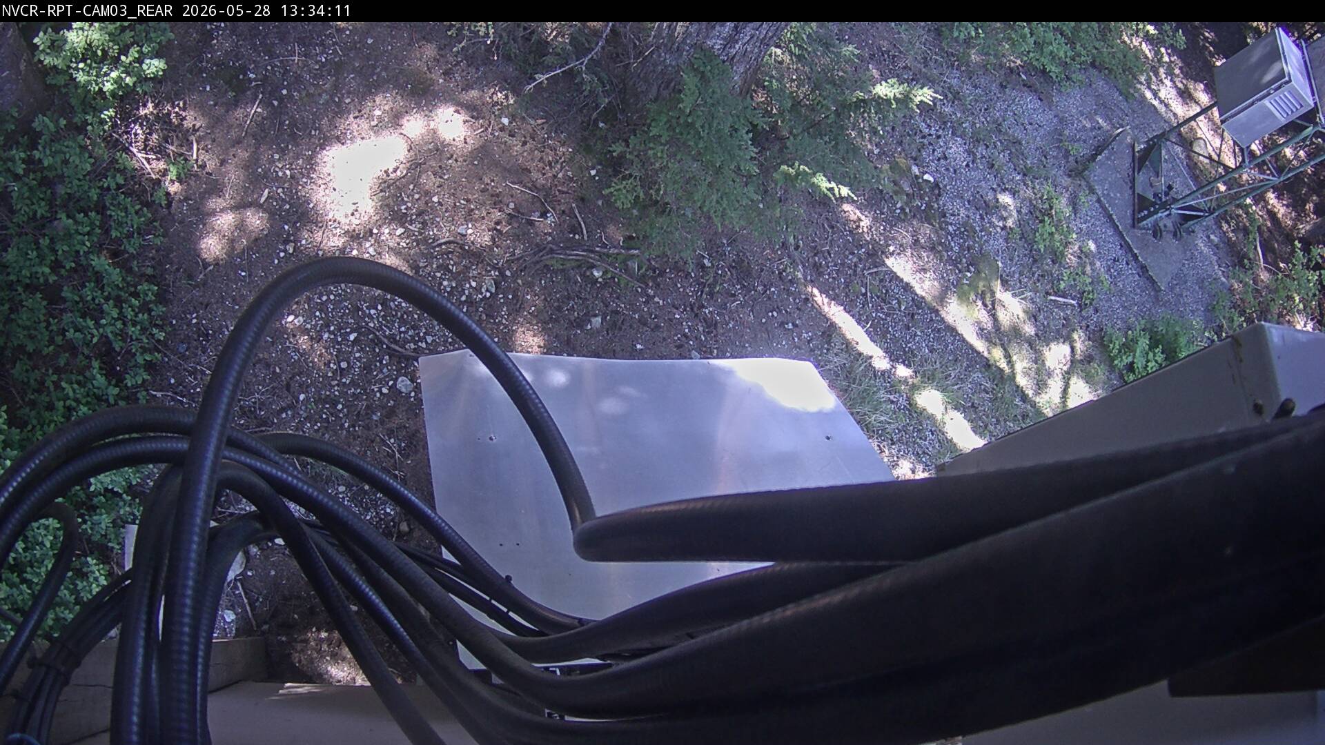 Web Cam History Image - 688