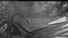 Web Cam Image - Fri, 07/31/2026 4:29am PDT