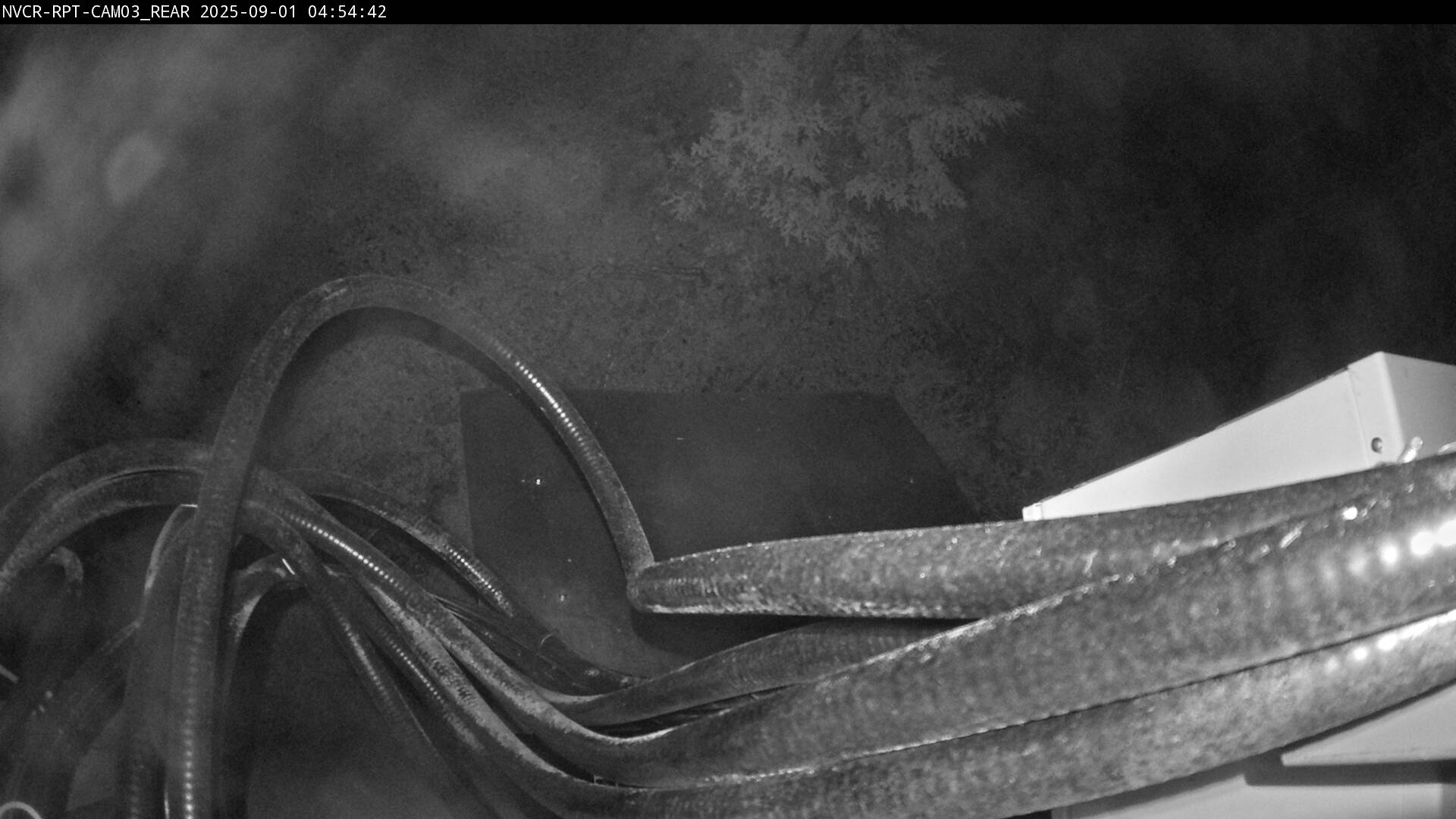 Web Cam History Image - 693