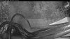 Web Cam Image - Sun, 05/10/2026 4:29am PDT