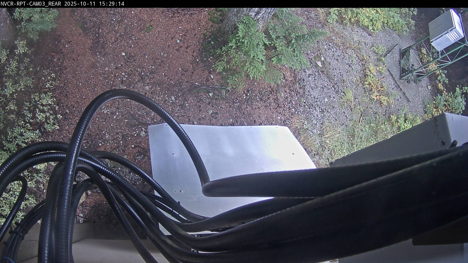 Web Cam History Image - 695